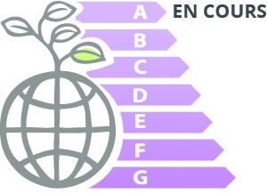 Émissions de gaz