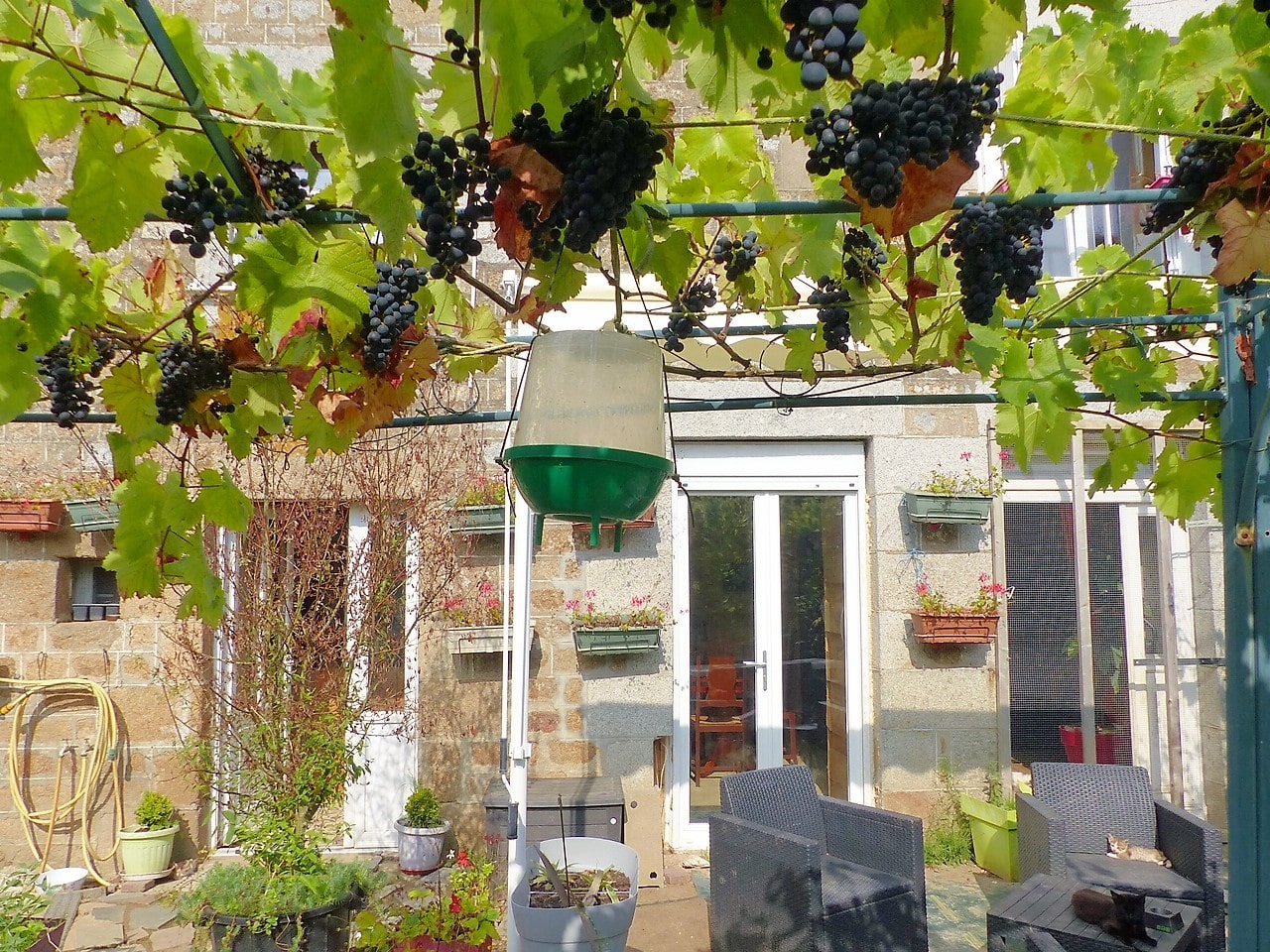 Maison à vendre à Les Portes du Coglais