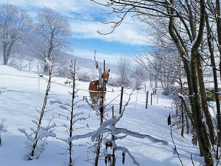 Maison à Lans-en-Vercors