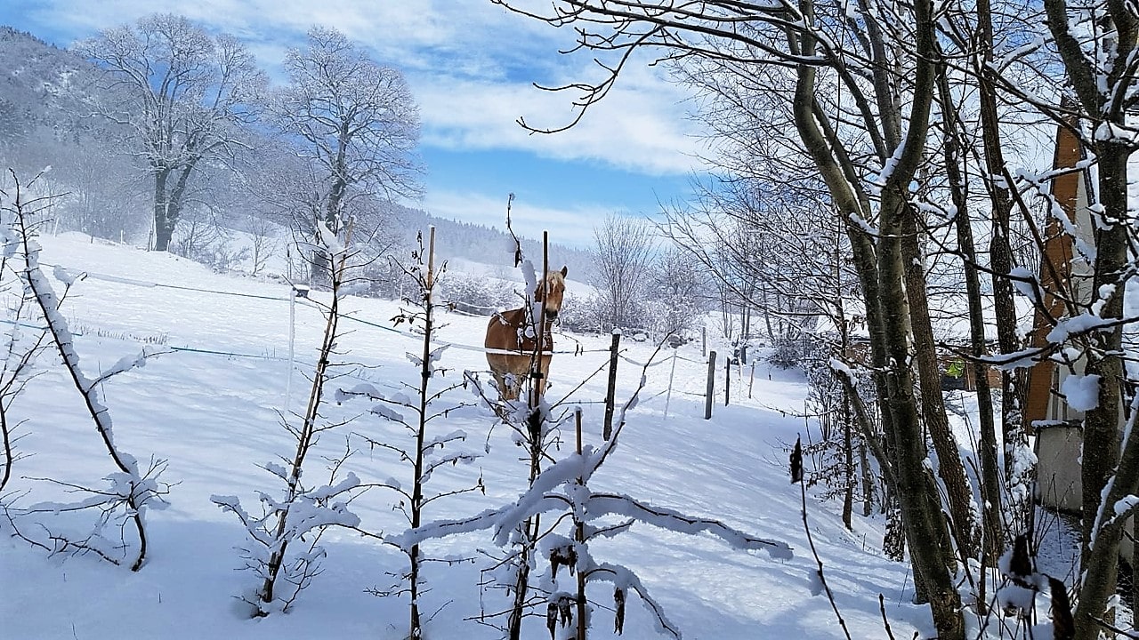 Maison à Lans-en-Vercors