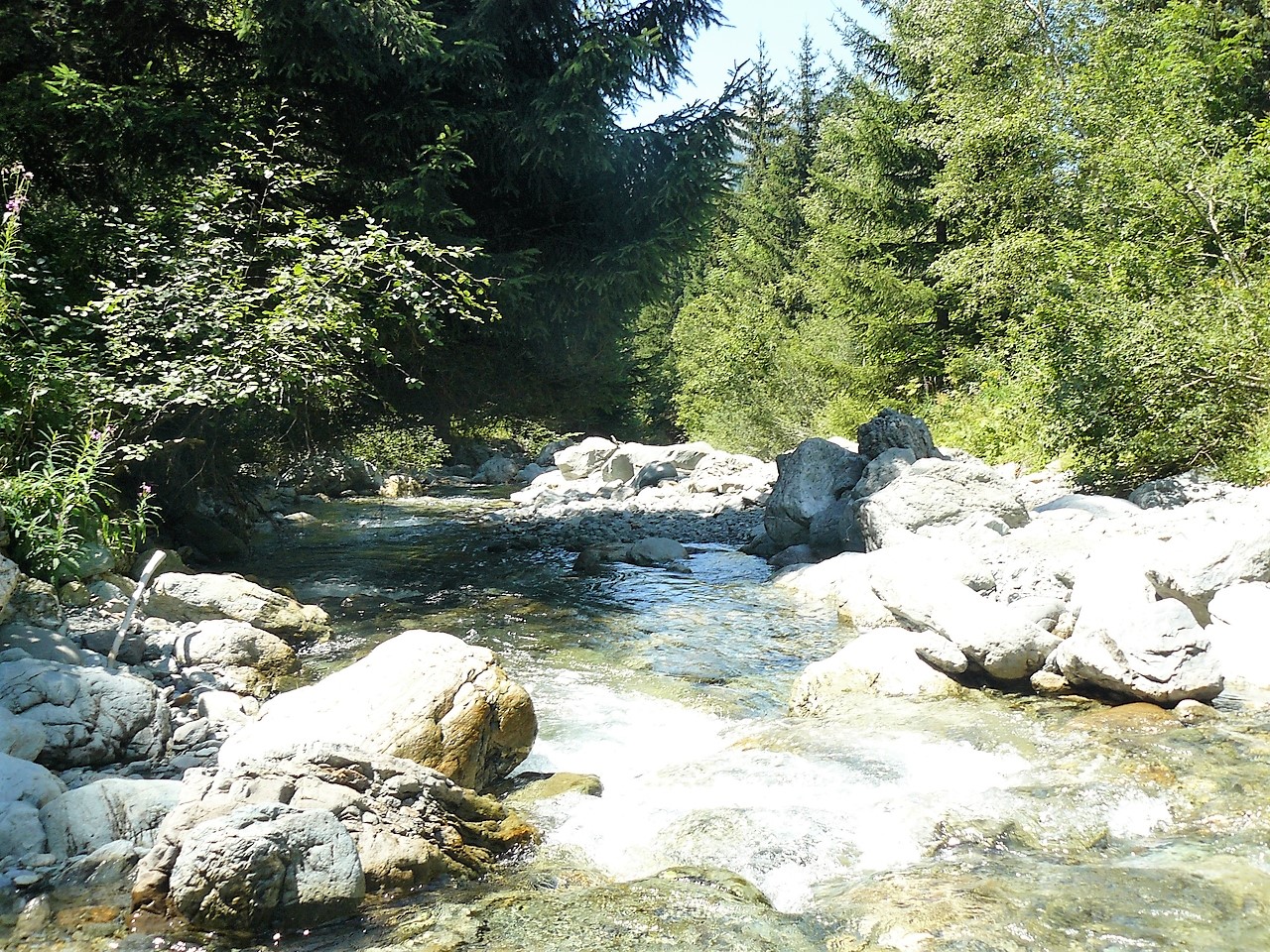  Un Investissement à Fort Potentiel