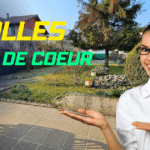 maison crolles