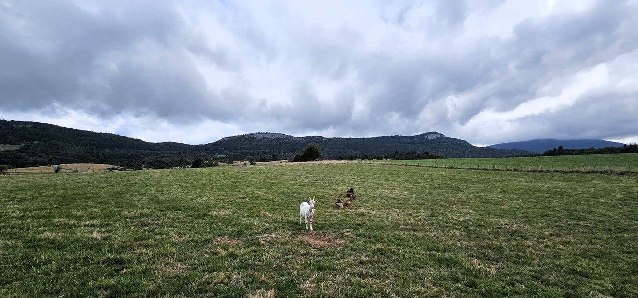 Maison à Vendre à Vassieux-en-Vercors – Particulier à Particulier