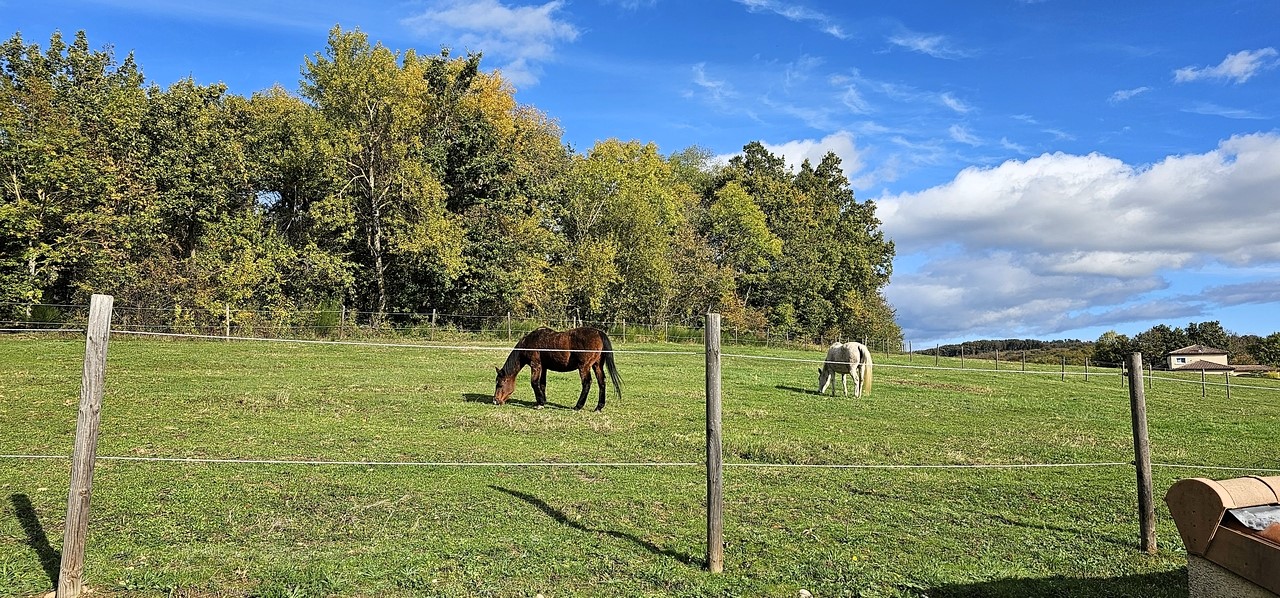 Chambres d’hôtes à vendre dans la Drôme entre Particuliers