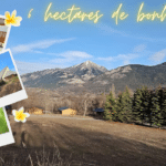 Achetez un Domaine Touristique dans les Hautes-Alpes❤️