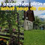 Maison à Vendre à Bourg d'Oisans avec vue