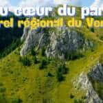 Paysage montagneux du Parc Naturel Régional du Vercors, avec vue sur les falaises verdoyantes de Gresse-en-Vercors