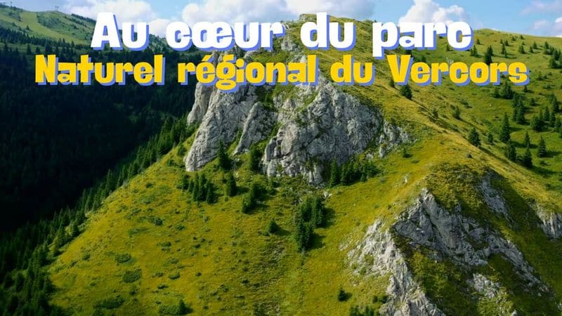 Paysage montagneux du Parc Naturel Régional du Vercors, avec vue sur les falaises verdoyantes de Gresse-en-Vercors