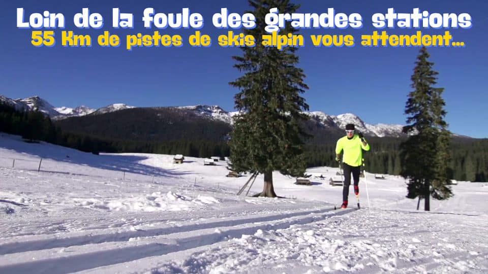 Chalet à vendre à l’Alpe du Grand Serre de particulier à particulier
