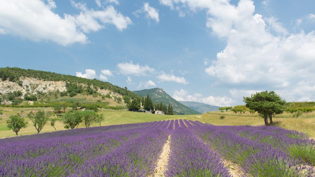 drome des collines
