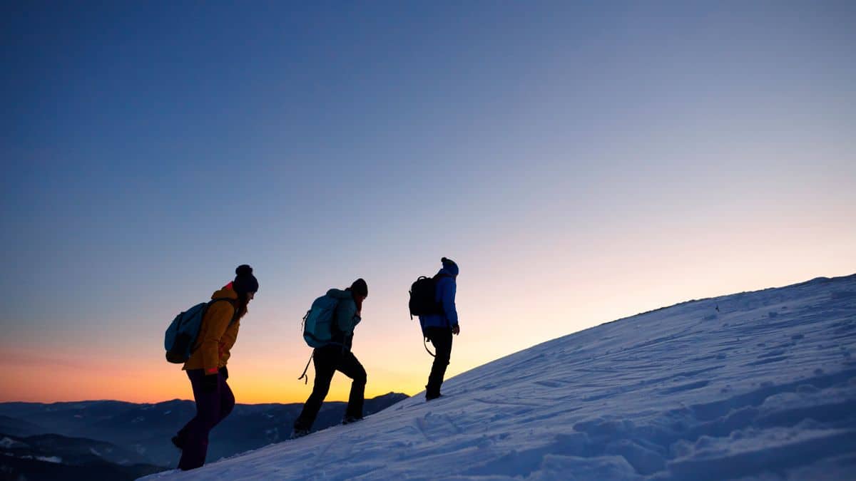 Top 7 des Stations de Ski Familiales où Acheter un Chalet dans les Alpes