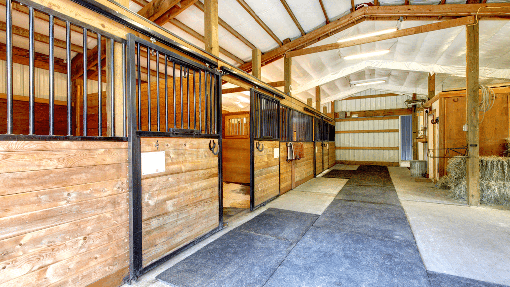 Comment gérer un élevage de chevaux et ses dépendances
