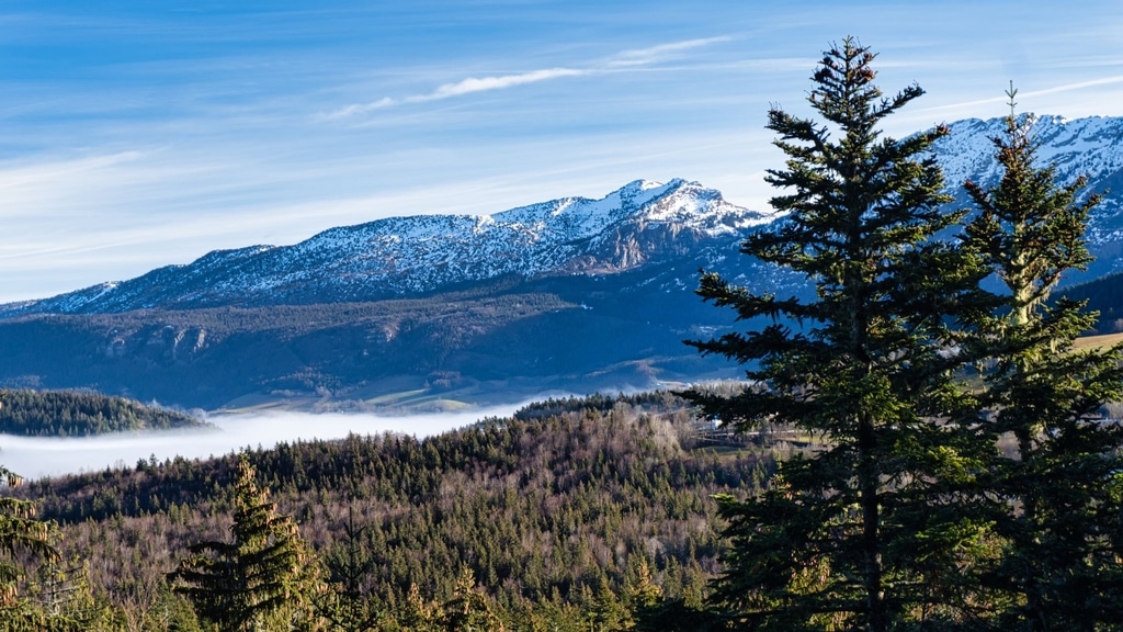 Immobilier sur Les Balcons de Belledonne en 2025