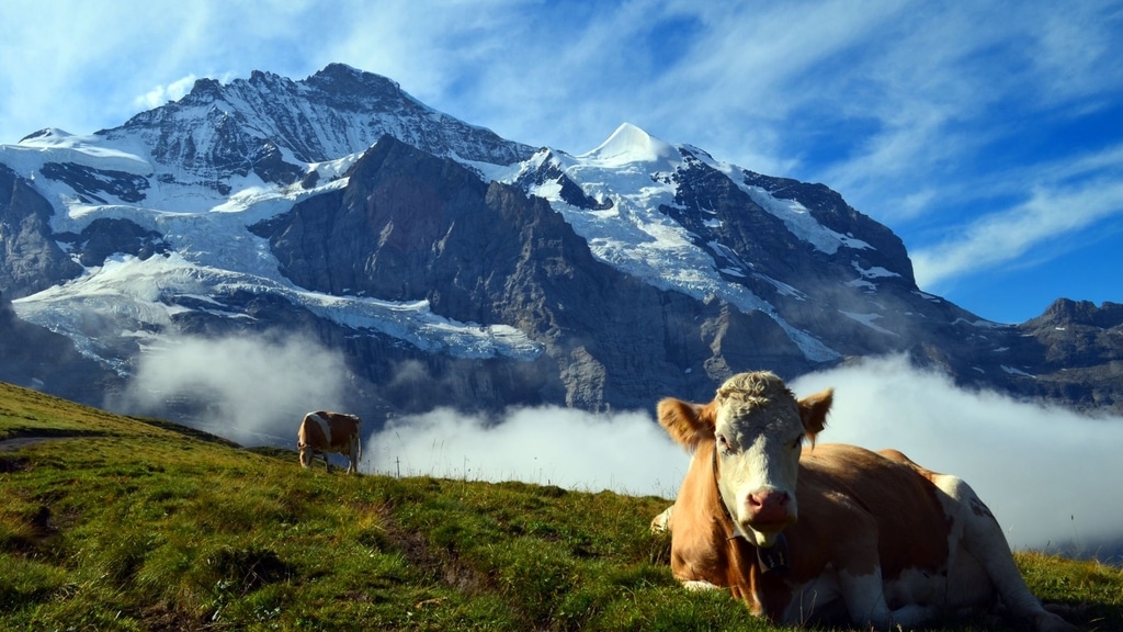 Les loisirs et activités dans la région