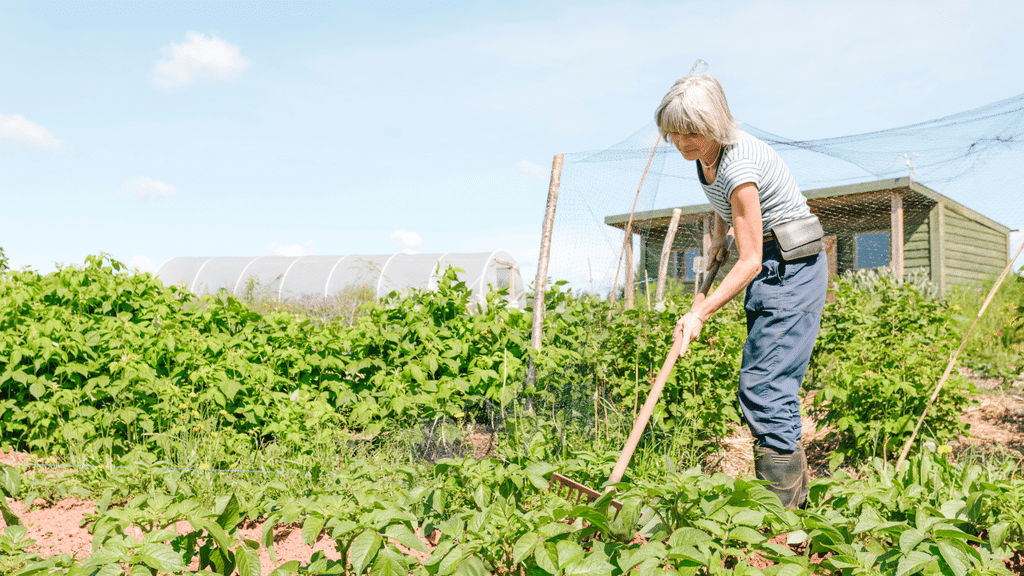 Les Meilleures régions de l'Isère pour acheter une ferme 