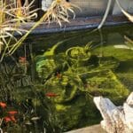 Maison avec piscine à Brié-et-Angonnes – Particulier à Particulier