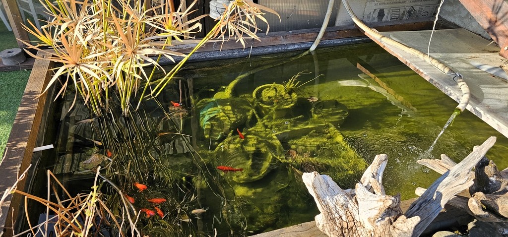 Maison avec piscine à Brié-et-Angonnes – Particulier à Particulier