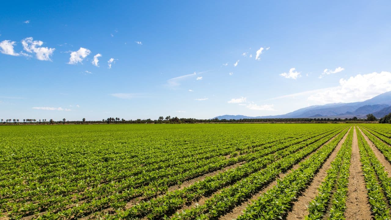 Pourquoi acheter une ferme en Auvergne-Rhône-Alpes