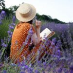 Propriété avec gîtes à vendre dans la Drôme de particulier à particulier