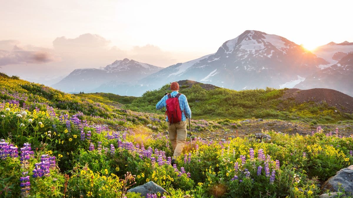 Que faire à l’Alpe d’Huez l’été ? Activités, spots secrets & bons plans :