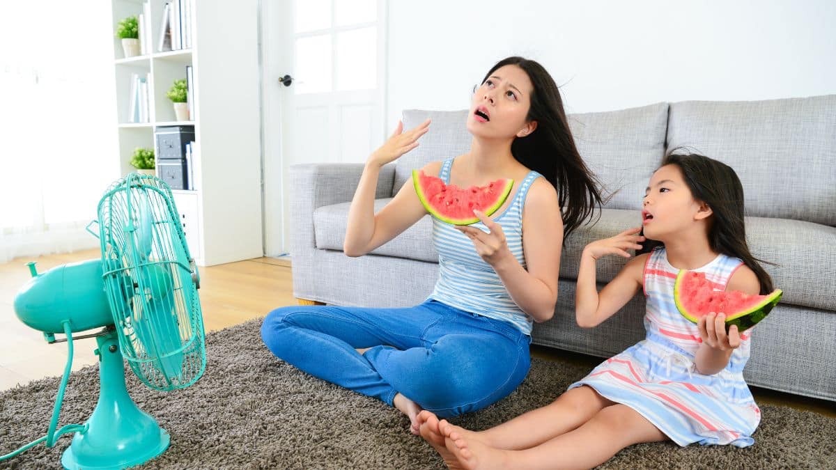 Que faire quand il fait chaud en Isère ? Les meilleures idées pour profiter sans souffrir !