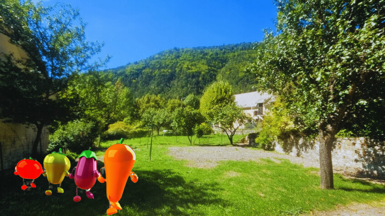 JARDIN & CARACTÉRISTIQUES EXTÉRIEURES