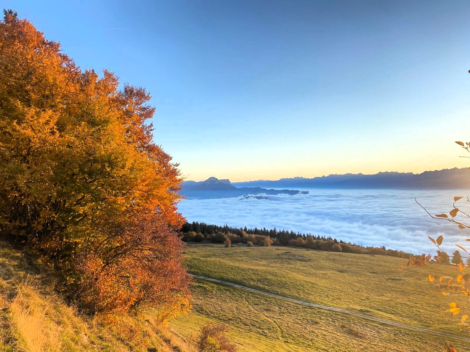 🌄 Là-bas, où la montagne chuchote…