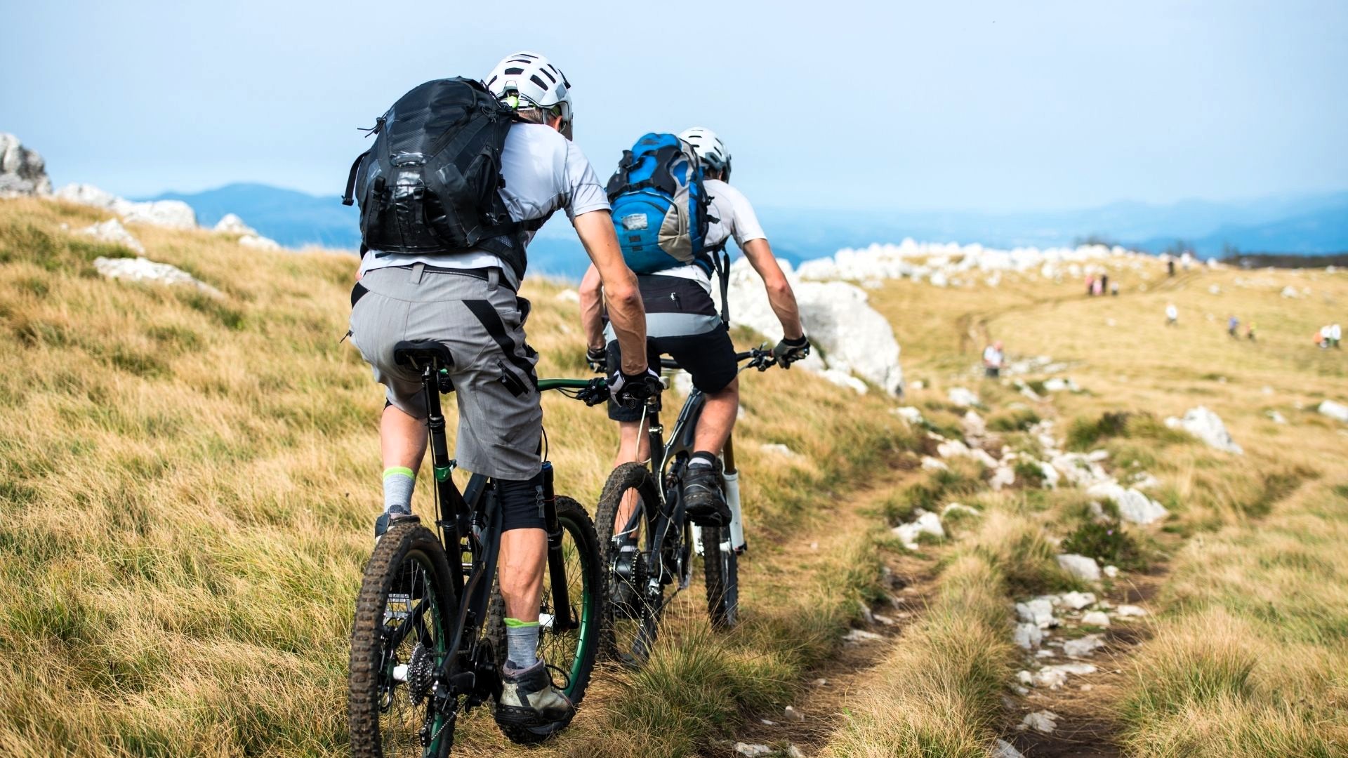 Que faire à Lans-en-Vercors en été ? Que faire à Lans-en-Vercors en été ?