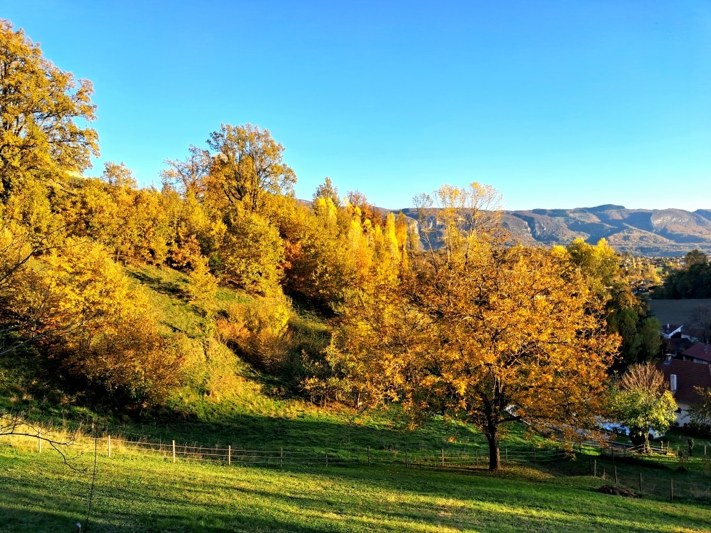 Saint-Vérand et le Vercors en été
