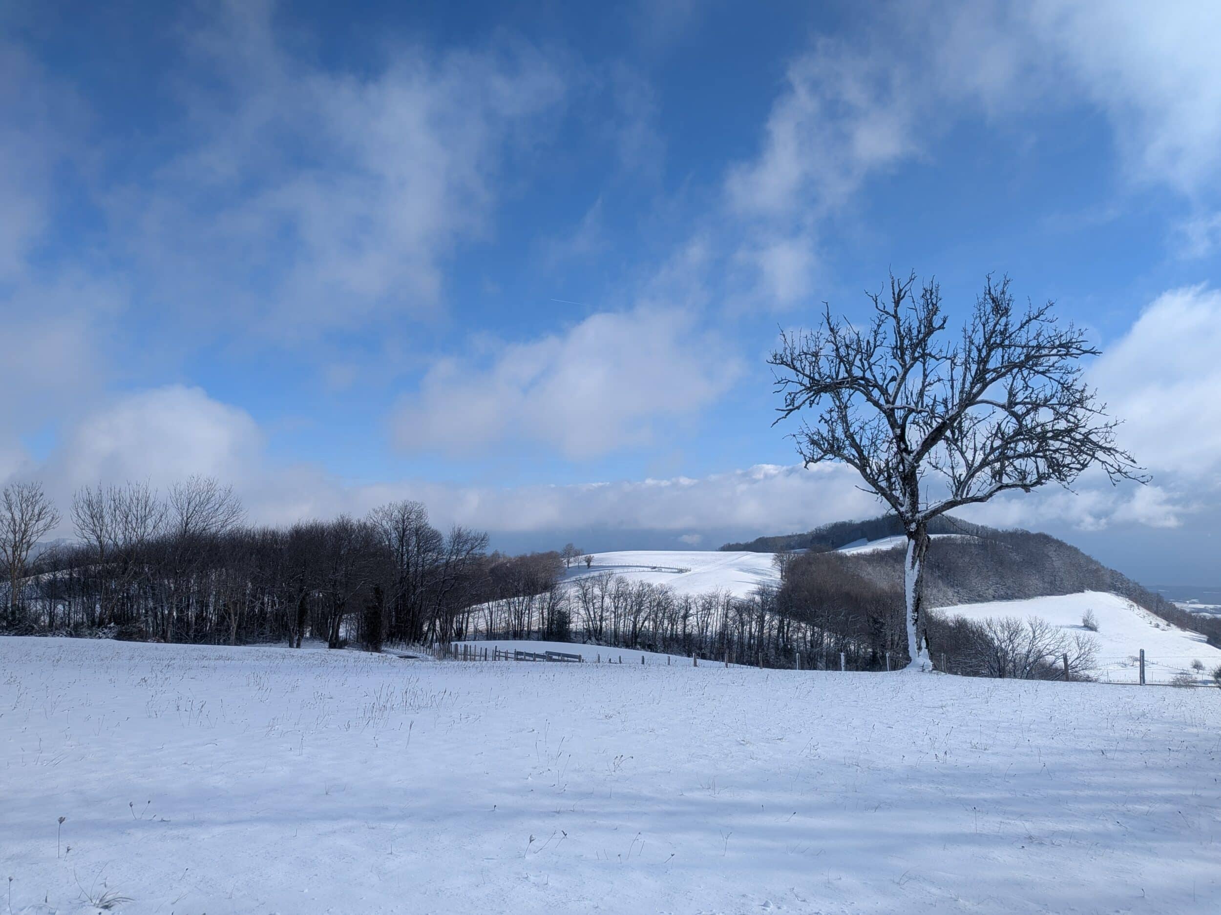 Saint-Vérand et le Vercors en hiver