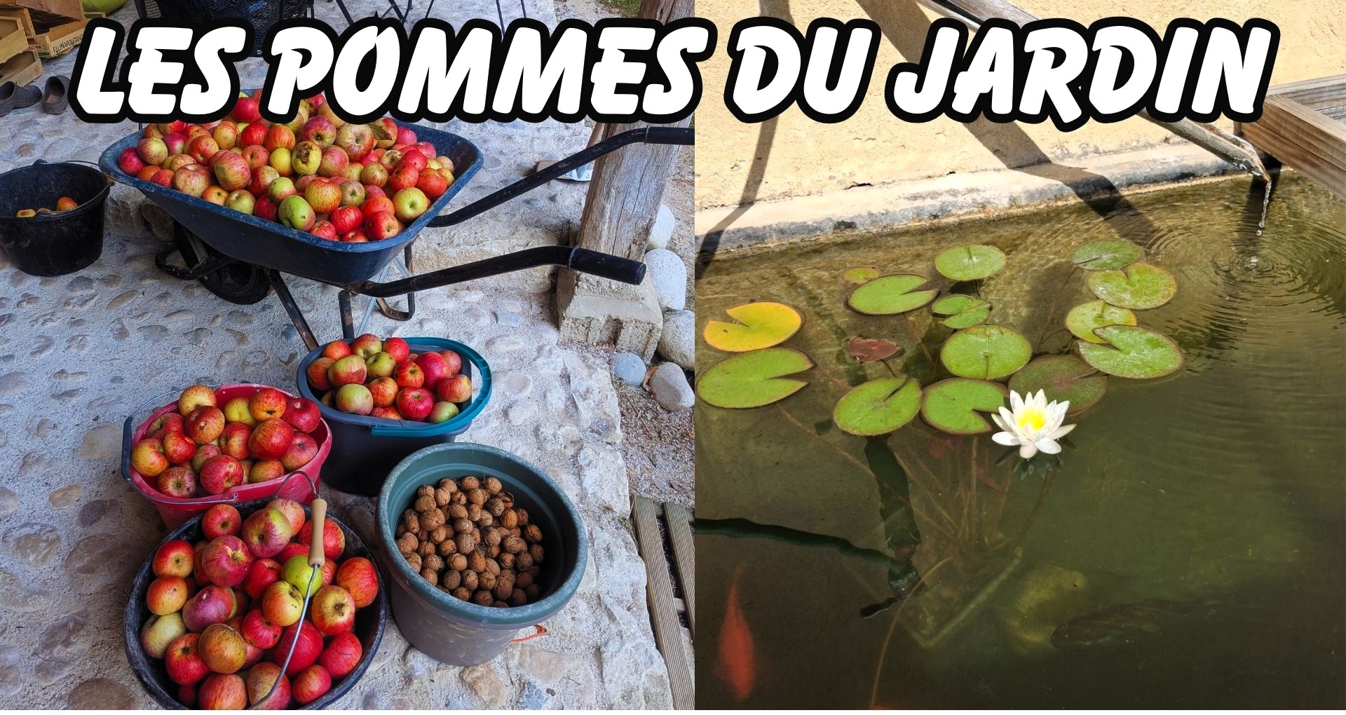 Contact direct avec le propriétaire