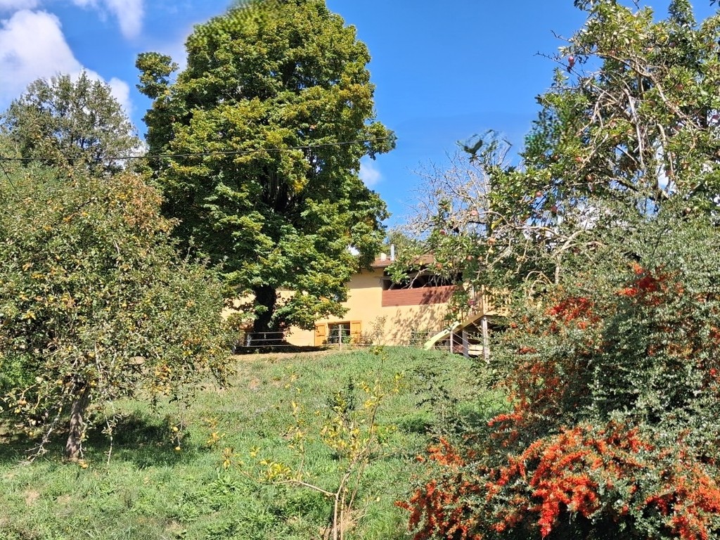 Points forts de cette maison Points forts de cette maison