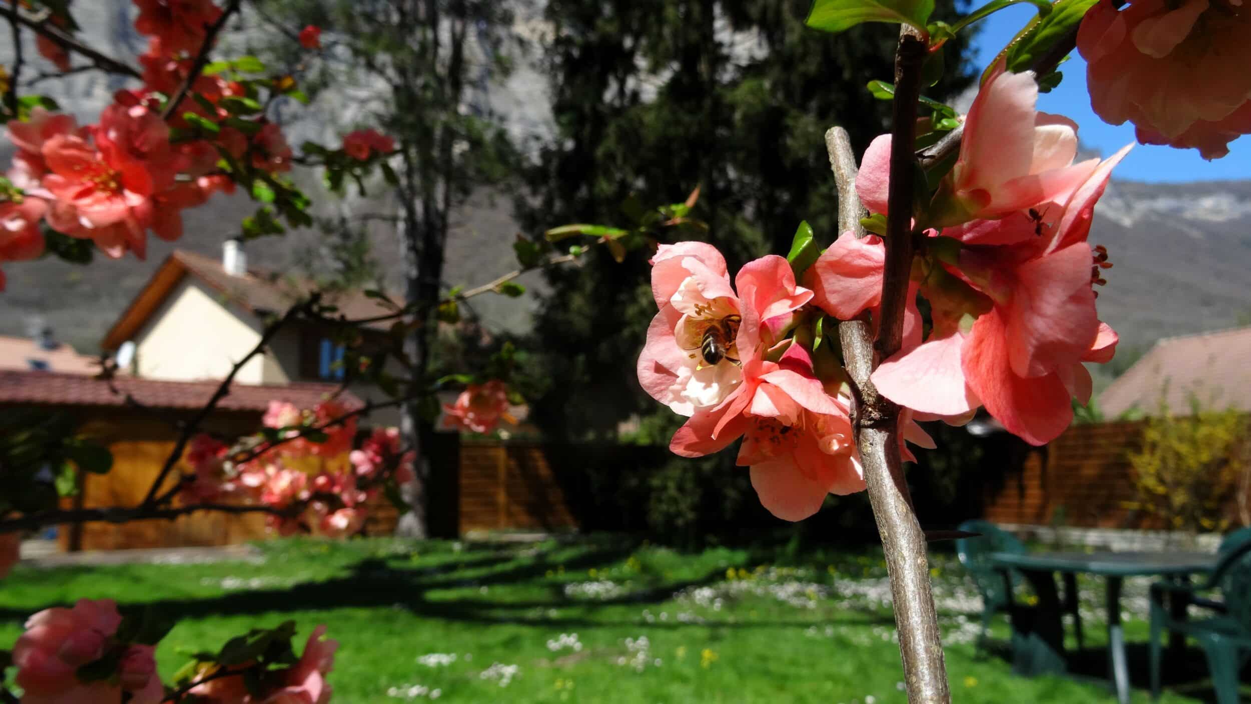 Extérieur et dépendances – Le charme du détail 🌳 Extérieur et dépendances – Le charme du détail 🌳