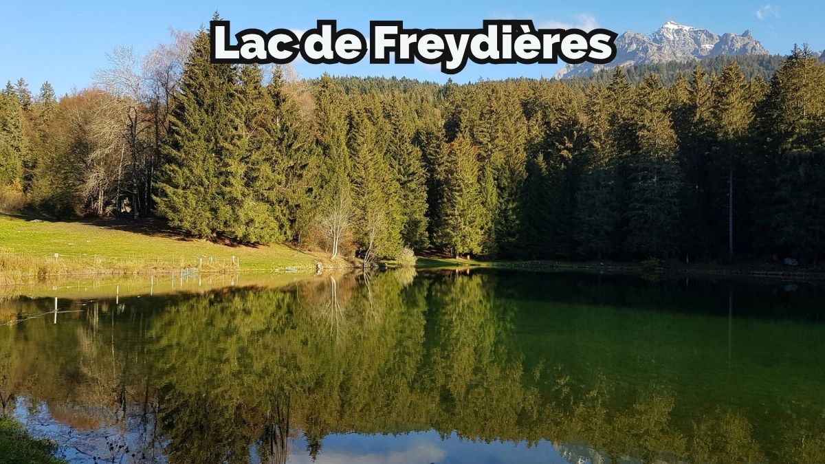 Revel (38420) : Localisation et Contexte Géographique
