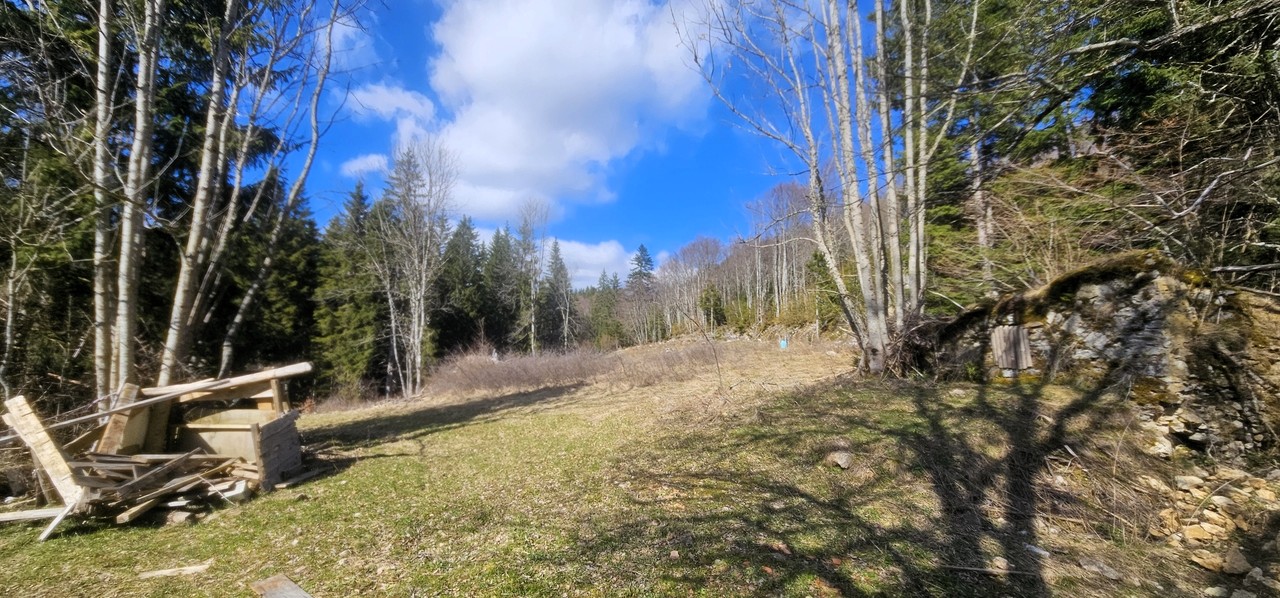 Maison autonome Vercors – 160 m² habitables sur 2,8 ha de forêt privée (26420)