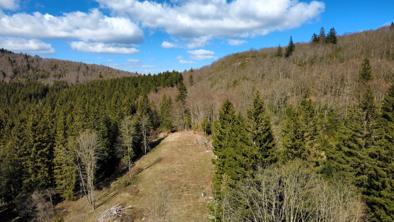 Maison autonome Vercors – 160 m² habitables sur 2,8 ha de forêt privée (26420)