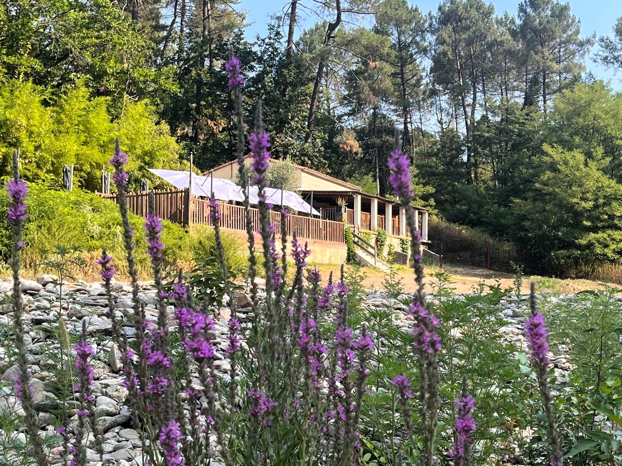 Guinguette à vendre dans les Cévennes au bord d’une rivière à Peyremale (Gard) – Restaurant avec plage privée