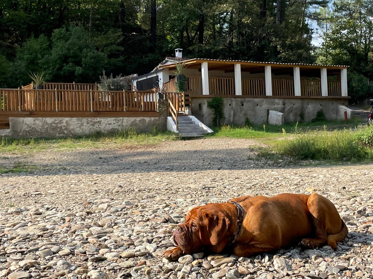 Guinguette à vendre dans les Cévennes au bord d’une rivière à Peyremale (Gard) – Restaurant avec plage privée