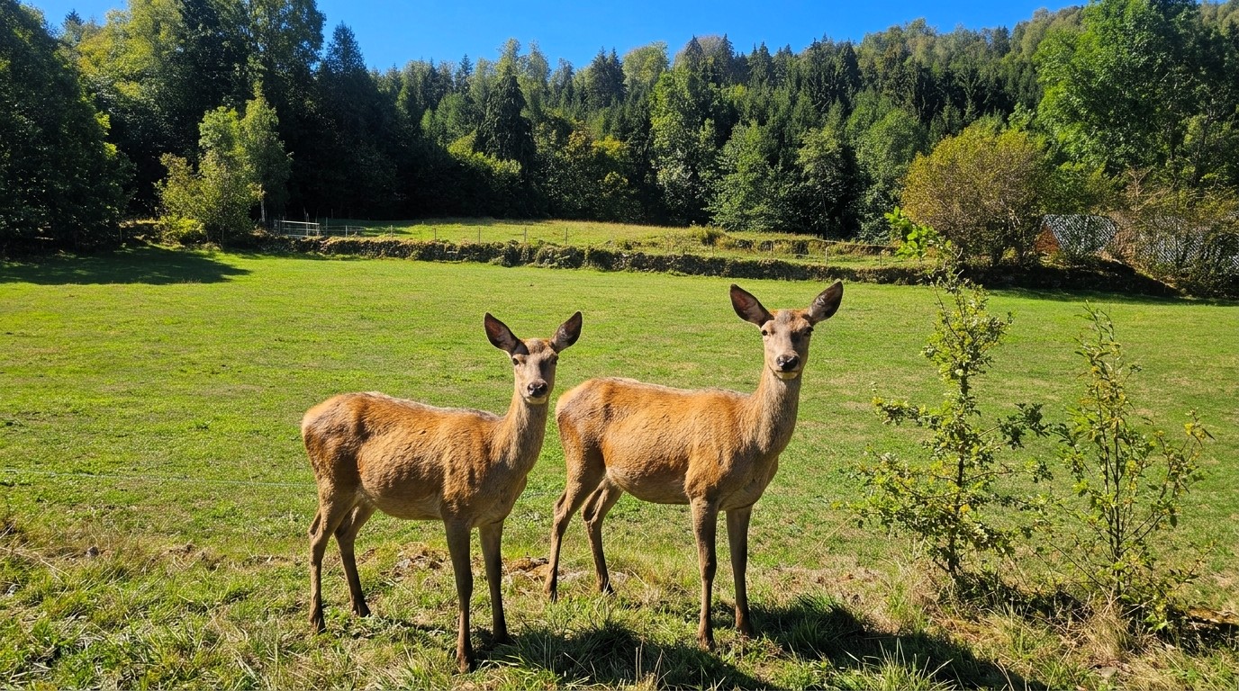 Vivre à Laval-en-Belledonne