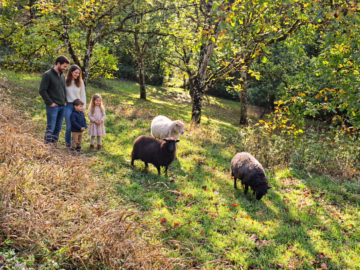 Famille observant les moutons dans le verger
